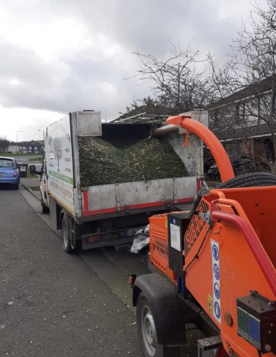 Tree Pruning and Trimming Services dublin